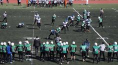 PAMUKKALE HOROZLARI GALİBİYETLE BAŞLADI