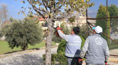 PAMUKKALE’DE BUDAMA ÇALIŞMALARI DEVAM EDİYOR