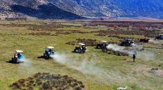 BÜYÜKŞEHİR MERALARI ISLAH EDİYOR