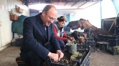 PAMUKKALE BELEDİYESİ’NDEN HEM ÜRETİM HEM TASARRUF