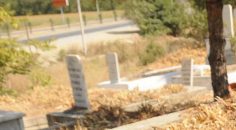 BABASININ MEZARI BAŞINDA ÖLÜ BULUNDU
