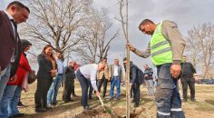 BOZKURT CUMALI’DA AĞAÇLANDIRMA ÇALIŞMASI