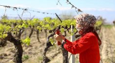 BÜYÜKŞEHİR’DEN İLHAM VEREN BAŞARI HİKAYESİ