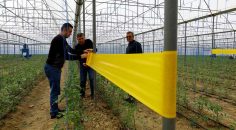 BÜYÜKŞEHİR ÜRETİCİNİN YÜZÜNÜ GÜLDÜRMEYE DEVAM EDİYOR