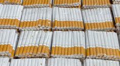 2 TÜTÜN KAÇAKÇISI YAKALANDI