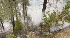 YANGINDA 1 DÖNÜMLÜK ALAN ZARAR GÖRDÜ