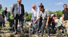 DAHA YEŞİL VE ÇEVRECİ BİR DENİZLİ İÇİN