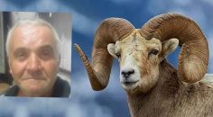 KOÇ, ÇOBANI ÖLDÜRDÜ