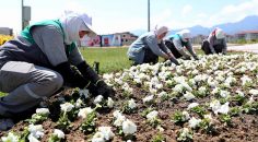 BİNLERCE MEVSİMLİK ÇİÇEK TOPRAKLA BULUŞTU