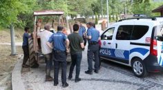 ÜZERİNE AĞAÇ DEVRİLEN ORMAN İŞÇİSİ ÖLDÜ