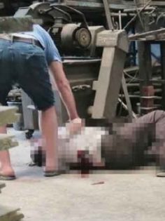 ÇATIDAN DÜŞEN İŞÇİ HAYATINI KAYBETTİ