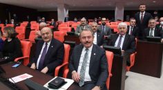 MİLLETVEKİLİ TİN: SAĞLIK ÇALIŞANLARINA İYİLEŞTİRME!