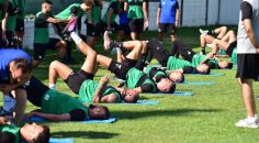 HOROZ BOMBA GİBİ HAZIRLANIYOR