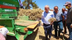 BAŞKAN ZOLAN, KEKİK HARMANI VE TÜTÜN KIRIMINA EŞLİK ETTİ