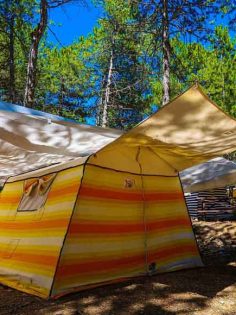 KEFE YAYLASI, KAMP İÇİN SİZLERİ BEKLİYOR