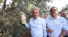 BÜYÜKŞEHİR’DEN ZEYTİN ÜRETİCİLERİNE DESTEK