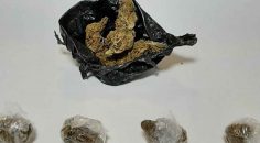 BULDAN’DA UYUŞTURUCU OPERASYONU