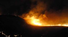 ORMAN YANGINI KISA SÜREDE SÖNDÜRÜLDÜ