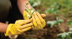 HOBİ BAHÇESİ BAŞVURULARI BAŞLIYOR