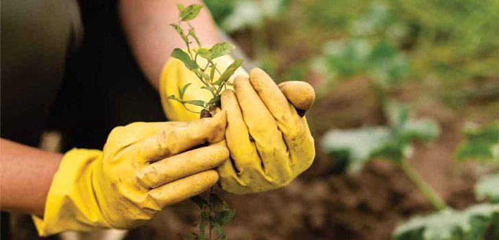 HOBİ BAHÇESİ BAŞVURULARI BAŞLIYOR