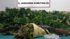 JANDARMA’DAN ZEHİR TACİRLERİNE BASKIN