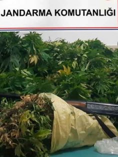 JANDARMA’DAN ZEHİR TACİRLERİNE BASKIN