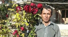 KESTİĞİ AĞACIN ALTINDA KALAN İŞÇİ ÖLDÜ