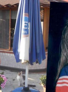 AVM’DEN DÜŞEN KADIN HAYATINI KAYBETTİ