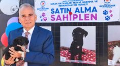 HAYVAN DOSTU ŞEHİR DENİZLİ