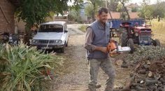 BAŞINA ODUN DÜŞEN ADAM HAYATINI KAYBETTİ