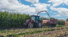 ÜRÜNLERİN BEREKETİ ÇİFTÇİLERİ MEMNUN ETTİ