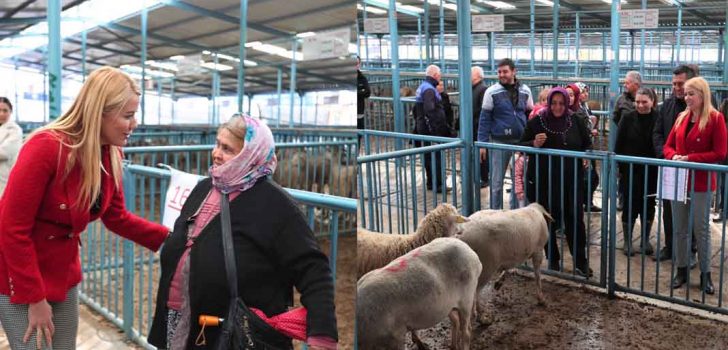 MERKEZEFENDİ’DEN ÜRETİCİLERE KÜÇÜKBAŞ HAYVAN VE YEM DESTEĞİ