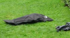 PARKTA ERKEK CESEDİ BULUNDU