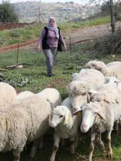 MERKEZEFENDİ BELEDİYESİ ÜRETİCİLERİ YALNIZ BIRAKMIYOR