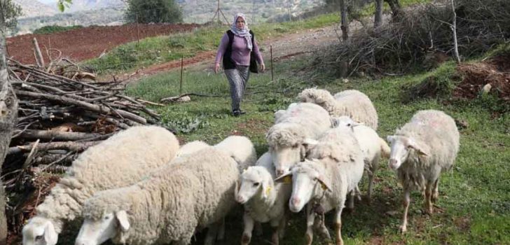MERKEZEFENDİ BELEDİYESİ ÜRETİCİLERİ YALNIZ BIRAKMIYOR
