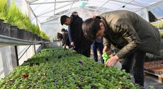 MESLEK LİSELİ ÖĞRENCİLER ÜLKENİN TARIM GÜCÜNÜ ARTIRACAK