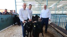 500 AİLEYE DAHA 1000 ADET DAMIZLIK KOÇ VE TEKE