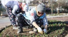 MEVSİMLİK ÇİÇEK DİKİMİYLE MERKEZEFENDİ RENKLENİYOR