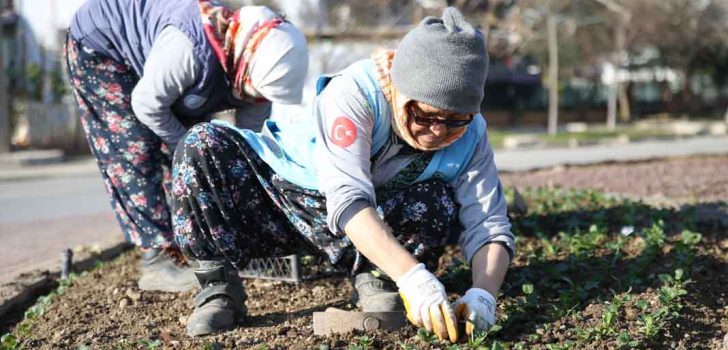 MEVSİMLİK ÇİÇEK DİKİMİYLE MERKEZEFENDİ RENKLENİYOR