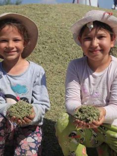 “KEKİK PAMUKKALE İÇİN ÇOK ÖNEMLİ”