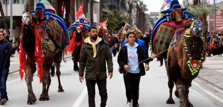 PEHLİVAN DEVELER GÖRÜCÜYE ÇIKIYOR