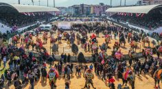 DENİZLİ’DE DEVE GÜREŞİ ŞÖLENİ