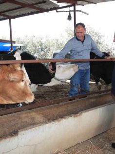 PAMUKKALE BELEDİYESİ 60 BİN HAYVANI AŞILAMAYA BAŞLADI