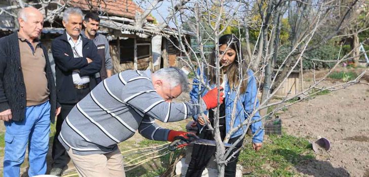 PAMUKKALE BELEDİYESİNDEN BUDAMA VE AŞILAMA KURSU
