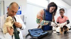 “SATIN ALMA SAHİPLEN” SLOGANIYLA HAREKET EDİYORLAR