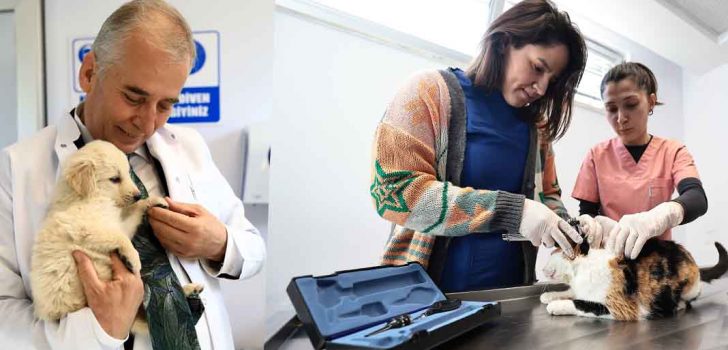 “SATIN ALMA SAHİPLEN” SLOGANIYLA HAREKET EDİYORLAR