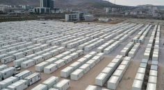 DEPREMZEDELERİ KONTEYNER VAADİYLE DOLANDIRANLAR YAKALANDI