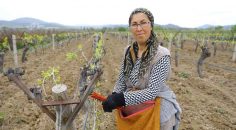 BİYOTEKNİKLE MÜCADELE DESTEĞİ