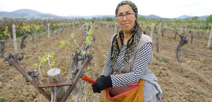 BİYOTEKNİKLE MÜCADELE DESTEĞİ