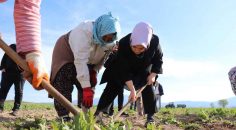“SİZLERİ TEKRAR TOPRAK İLE BARIŞTIRACAĞIZ”